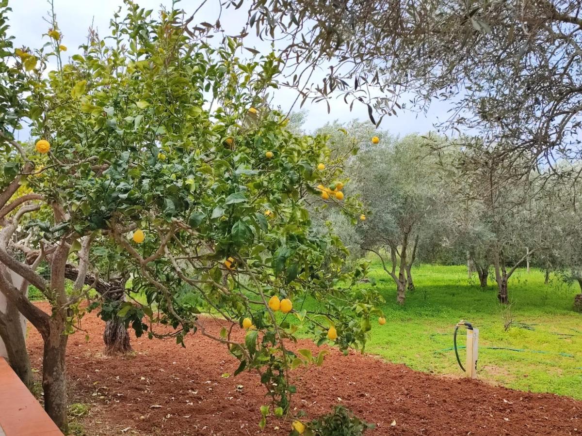 Casa Vacanze Da Nonna Mela Αλγκέρο Εξωτερικό φωτογραφία